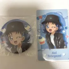 キラキラプリキュアアラモード ファッションシリーズ 缶バッジ 剣城