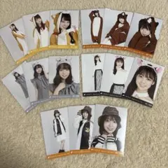 阪口珠美 生写真 まとめ売り 干支