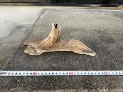 Item thumbnail for item 006fdcf3-c3b2-4f38-85a8-76ffbb8f242a