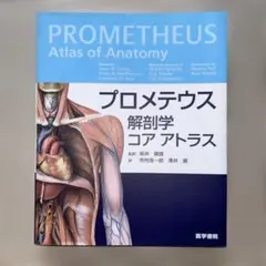 Item thumbnail for item 3e761251-5f1b-41cb-8662-32546b6c9c10