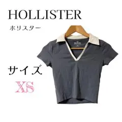 ホリスター 襟付きクロップドTシャツ グレー系 XS ショート丈 美シルエットのサムネイル