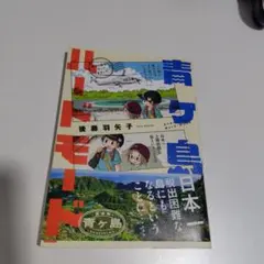 青ヶ島ハードモード～都内の離島に行ってきました～