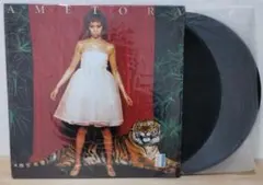 【週末セール】UA AMETORA レコード