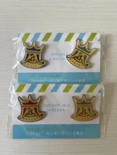 嵐　ARASHI 10-11 TOUR ピンバッジセット