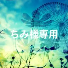 ちみ様専用ページ