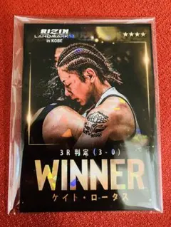 Item thumbnail for item 493a524e-5447-46a7-ae34-fbe80118af0d