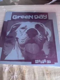 【廃盤】Green Day - Slappy E.P