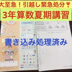 2026年最新】sapix 3年生 夏期講習の人気アイテム - メルカリ