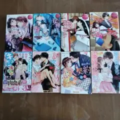 【TL小説】エタニティ文庫、ジュエル文庫、ヴァニラ文庫８冊セット