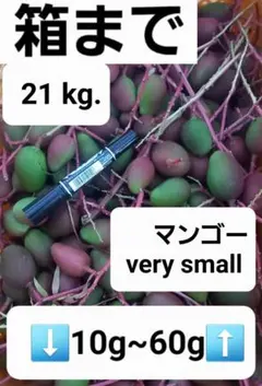 2026年最新】摘果マンゴーの人気アイテム - メルカリ
