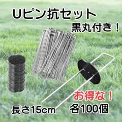 Item thumbnail for item 5123f717-3ad8-4534-b513-998a4833589f