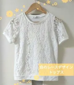 Emsexcite 白 トップス レース デザイン ホワイト 半袖
