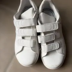 18センチ　adidas