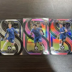 PANINI SELECTチェルシーレナトヴェイガRC99シリ／パーマー／エンソ