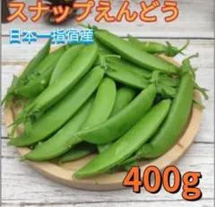 スナップエンドウ 農薬不使用