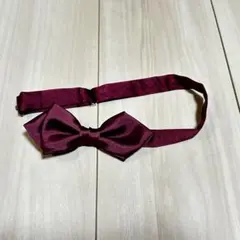 蝶ネクタイ ワインレッド 赤