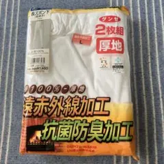 グンゼ 厚地 遠赤外線加工 長ズボン L 2枚組 抗菌防臭 綿100%