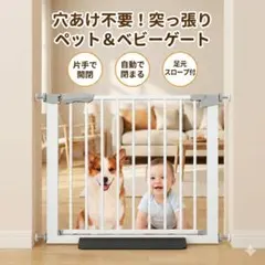 Item thumbnail for item b497c370-1d94-4ed1-8532-4b37a3274a98