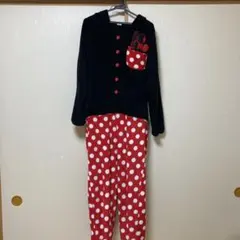 着ぐるみ ディズニー