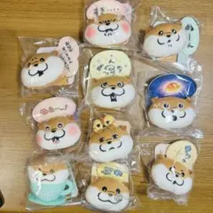 【未開封】可愛い嘘のカワウソ　マグネット10個セット