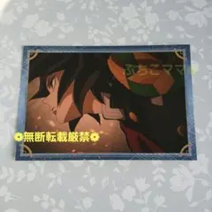 鬼滅の刃 冨岡義勇 ポストカードコレクション 無限城編 ポスカ