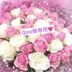 オルゴナイト 盛り塩 トイプードル 盛塩 白蛇 白蛇の抜け殻 幸運 お守り