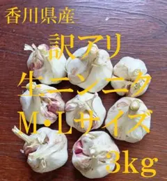 香川県産 訳アリ生ニンニク M・Lサイズ 3kg ④ - メルカリ