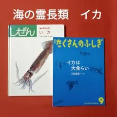 たくさんのふしぎ キンダーブックしぜん ウナギとりの夏 うなぎ みや