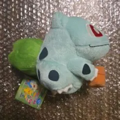ポケモン ハルカのフシギダネ 小物付ぬいぐるみのサムネイル
