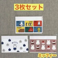 【各1枚 計3枚】ミッフィー ＜ブラウン／マルチ／ブルー＞ マイナカードケース