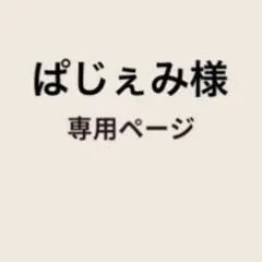 ぱじぇみ様　専用