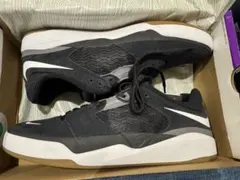 Nike SB Ishod 28cm