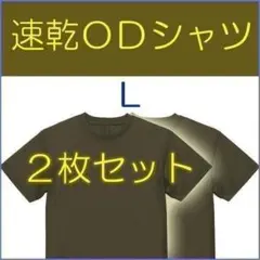 ＯＤ Ｔシャツ Ｌ　２枚 速乾　陸上自衛隊 の 迷彩服 に