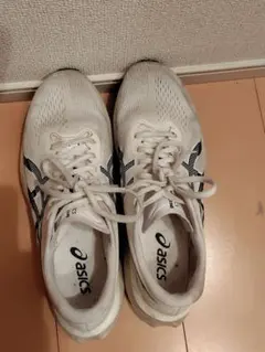 マジックスピード4 28㌢