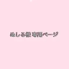 専用ページ