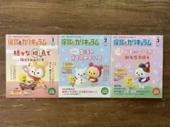 保育とカリキュラム　2023年1月、2月、3月号【古本】