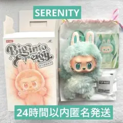 【正規品】 ラブブ Big into Energy 平静　SERENITY