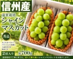 訳あり シャインマスカット 岡山県産 3パック 即購入可能箱抜き1.2キロ