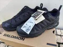SALOMON XA PRO 3D V9 GT 27.0cm サロモン