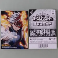 僕のヒーローアカデミア　生ブロマイド　轟焦凍