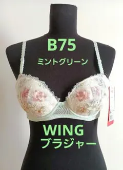 Item thumbnail for item 532e0b25-969c-4a23-947e-e24d403b701d