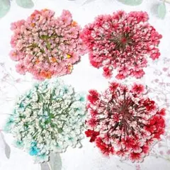 押し花素材＊レースフラワー　大サイズ11