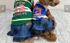 Item thumbnail for item c1485989-7b90-46c9-a81b-41d36784db7b