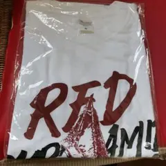 Tシャツ サイズM サイレントヒル2 レッドピラミッドシング　特典