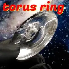⭐️チャクラを活性化 トーラス　零点エネルギー（天然水晶リング)　癒しの効果