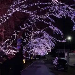 サーモス水筒カバー　未使用品　1.5L用