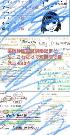 【薬剤師国家試験】3年間の集大成 最強まとめノート、薬ゼミ1年コースのメモも含む 薬剤師国家試験】 最強暗記まとめノート(薬ゼミ1年コースのメモも含む