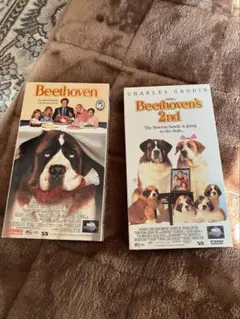 Item thumbnail for item 017aa11c-5854-47e9-be5f-7fc02be68b3c