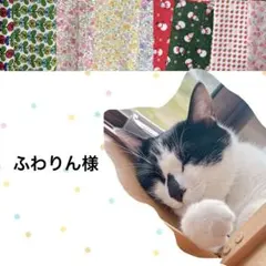 シュシュ首輪　子猫　フラワーモチーフダブルリボン　⑤-RDC2