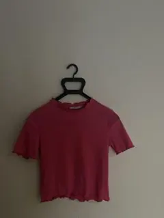 ZARA TRAFALUC ピンク 半袖Tシャツ
